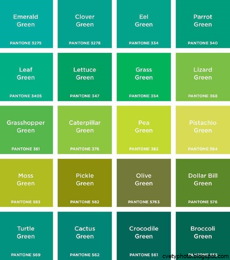 Самые интересные факты о зеленом цвете