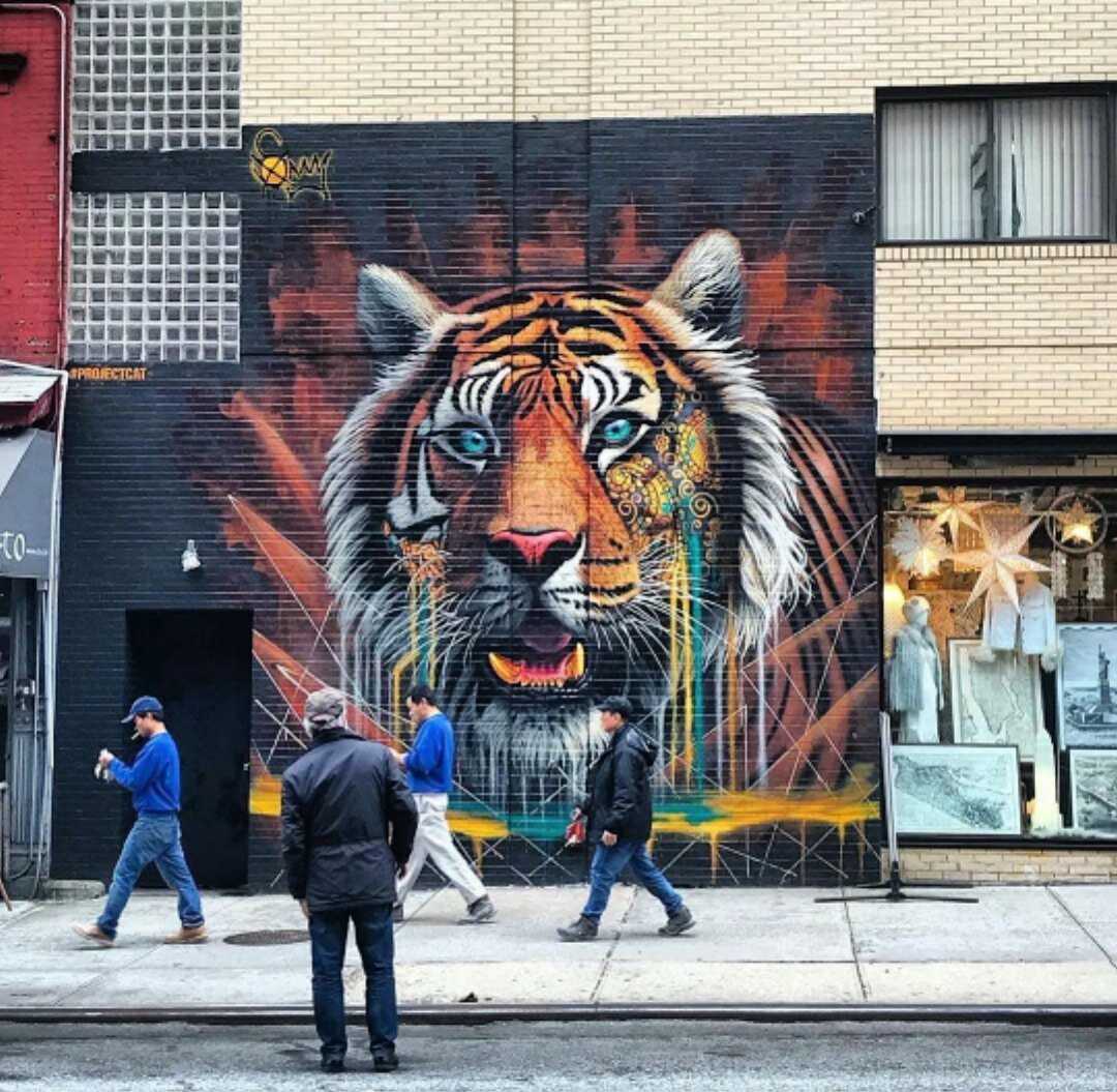 Работы бэнкси – более 100 лучших произведений стрит-арт художника banksy
