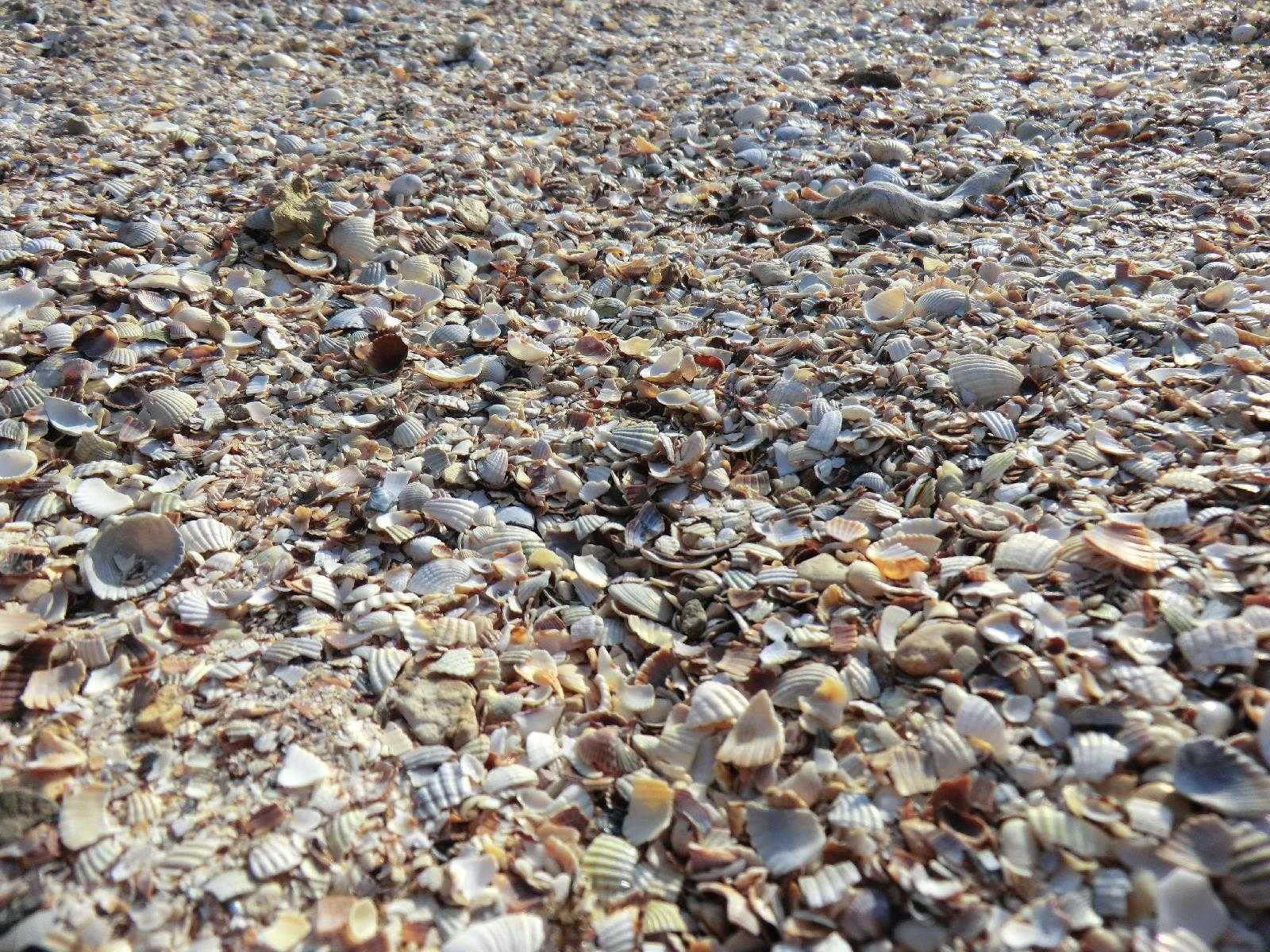 Все пляжи адлера от кудепсты до псоу | фото, описание, отзыв