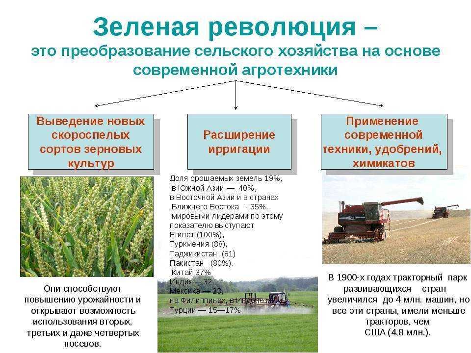 Сельское хозяйство армении - вики