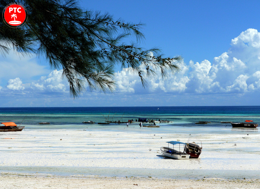 Танзания фото. Кизимкази остров Занзибар. Пляж Кизимкази. Пляж Кизимкази Zanzibar. Kizimkazi Занзибар пляж.