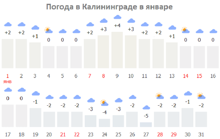 Погода зеленоградск калининградская по часам