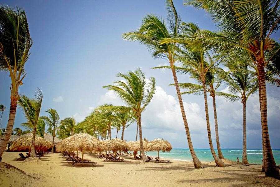 Погода в доминикане осенью, зимой, весной, летом. климат и температура в доминиканской республике по месяцам
