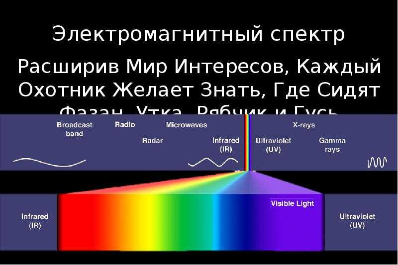 Видимая часть электромагнитного спектра. Электромагнитный спектр 2.015/03. Ширина электромагнитного спектра. Диапазоны электромагнитного спектра. Спектр электромагнитных волн.