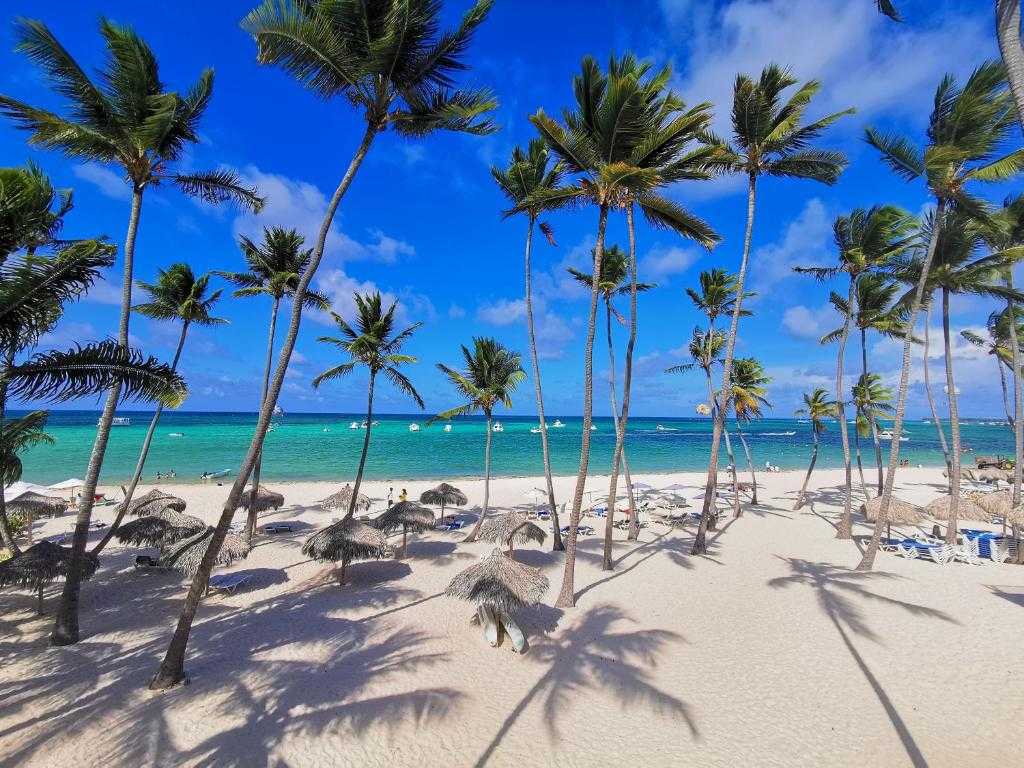 8 лучших пляжей пунта-кана: описание и отели поблизости - 2022