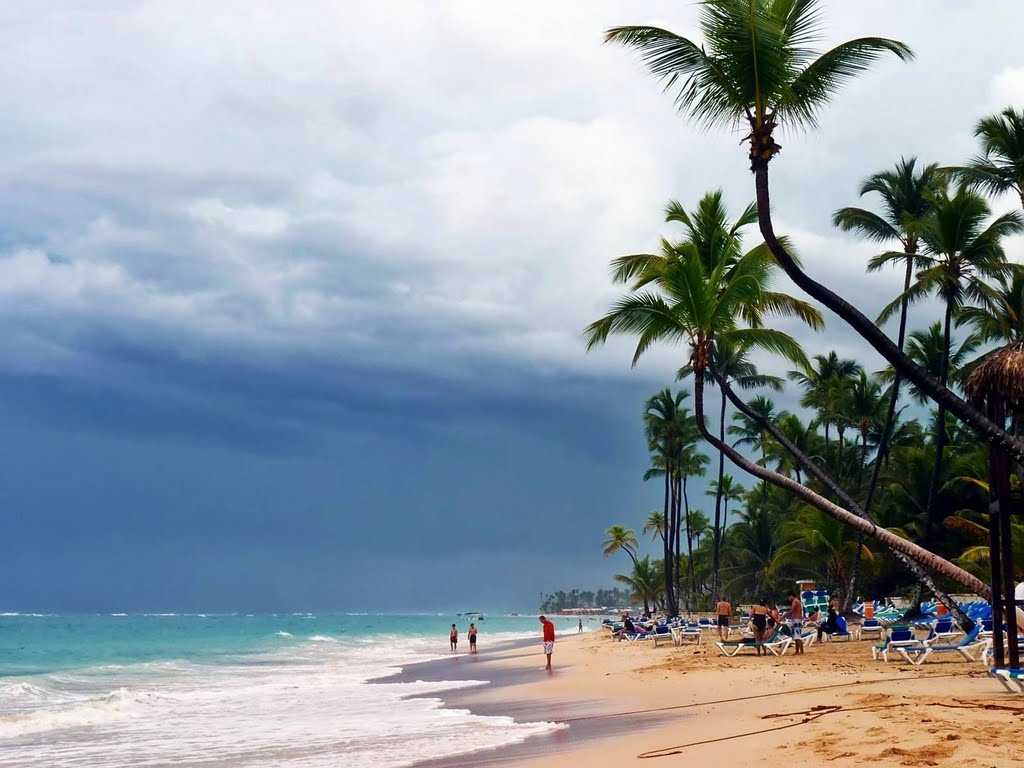 Сезон для отдыха в доминикане: погода и температура воды по месяцам (сезон 2022)