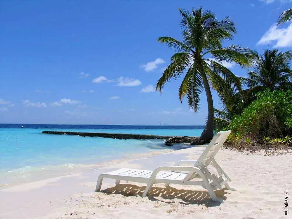 Лучшие пляжи на мальдивах для бюджетного отдыха — фото и отзывы