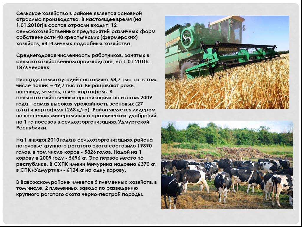 Сельское хозяйство. в сельском хозяйстве армении используется 1340 тыс - thediscoverer