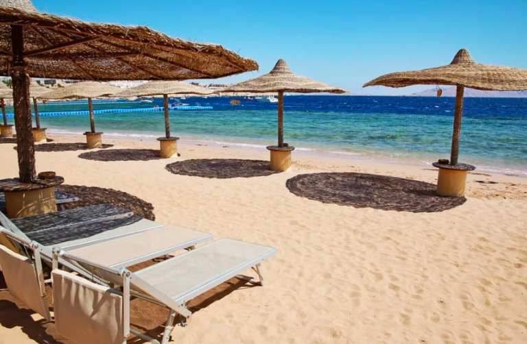 Где лучше отдыхать в египте на море – советы и цены