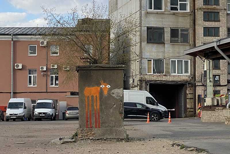 Один из известнейших персонажей мира уличного искусства александр stan: «я не хочу, чтобы граффити кто-то поддерживал финансово» 02.04.2016 - kazanfirst