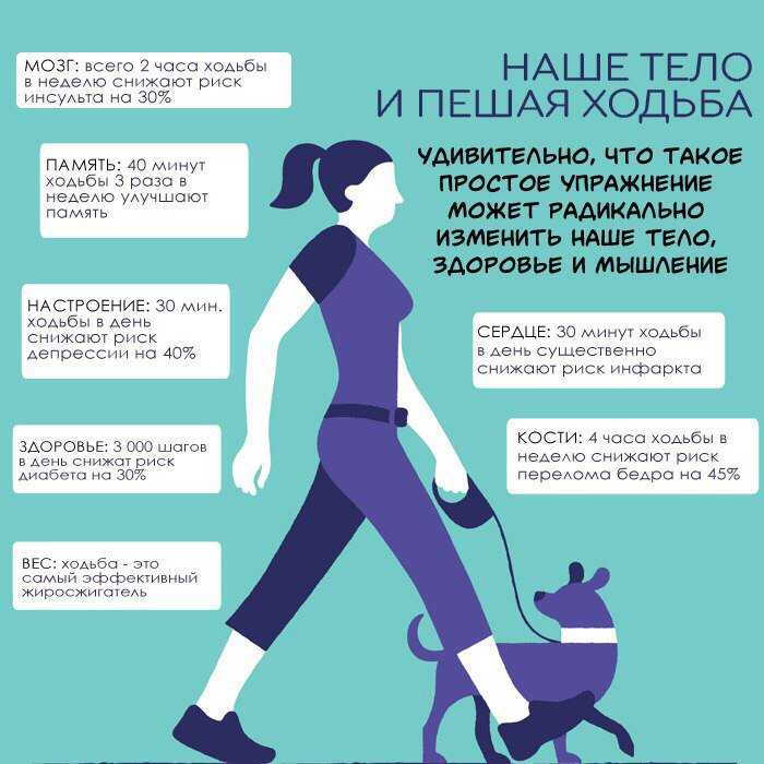 Учёные доказали, сколько километров в день для здоровья, надо ходить пешком