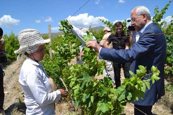 Сельское хозяйство в армении - agriculture in armenia - wikipedia