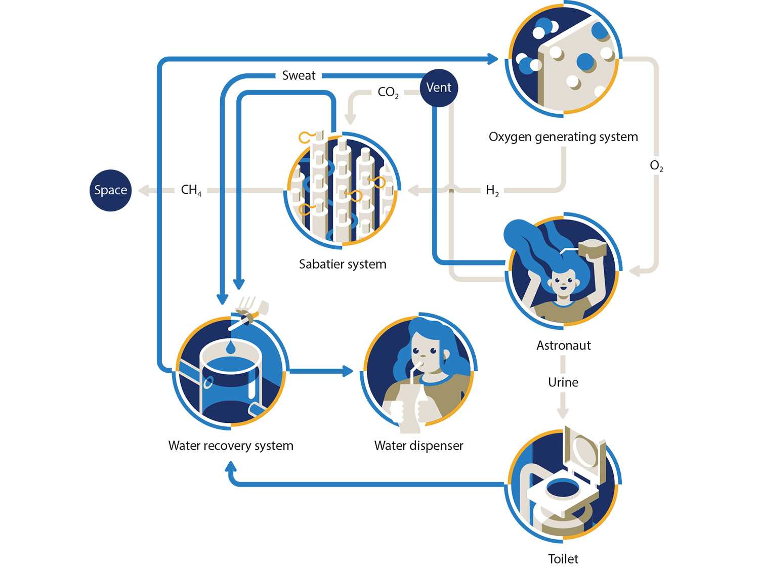 Регенерированная или рециркулированная вода также называемая повторным использованием сточных вод или рекультивацией воды представляет собой процесс преобразования сточных вод в воду, которые могут быть использованы повторно для других целей Повторное исп