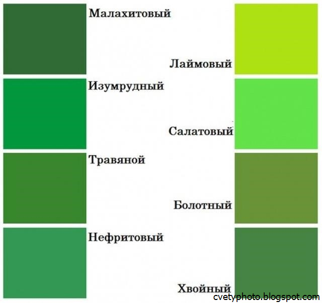 Психология цвета: значение цветов в психологии, их “история” и оттенки