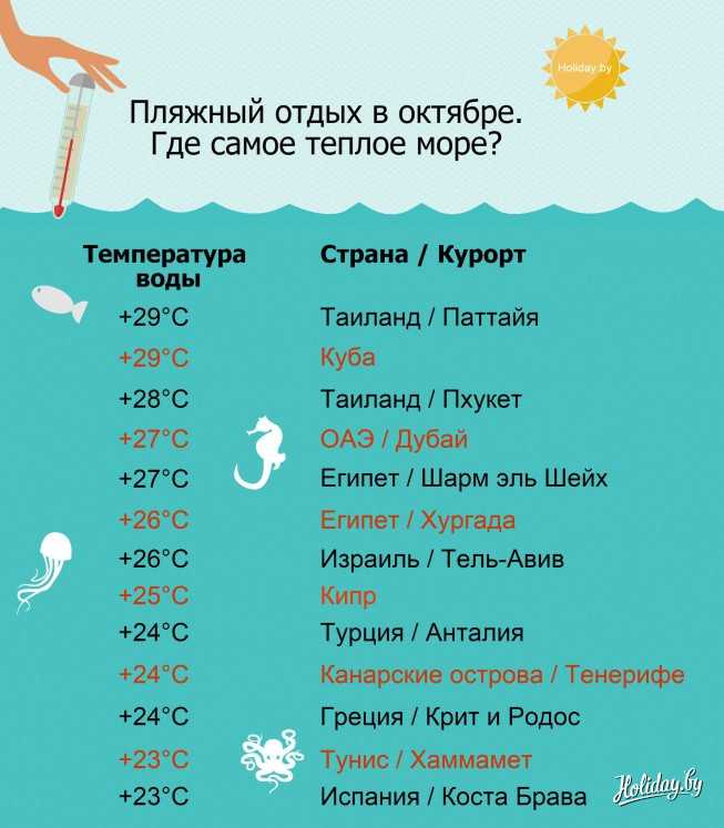 Куда поехать в феврале на море: советы туристам - gkd.ru
