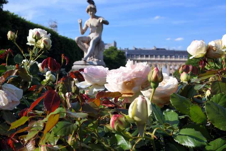 Парки и сады Парижа, которые стоит увидеть каждому Фото с описанием каждого парка Адреса, как добраться, часы работы