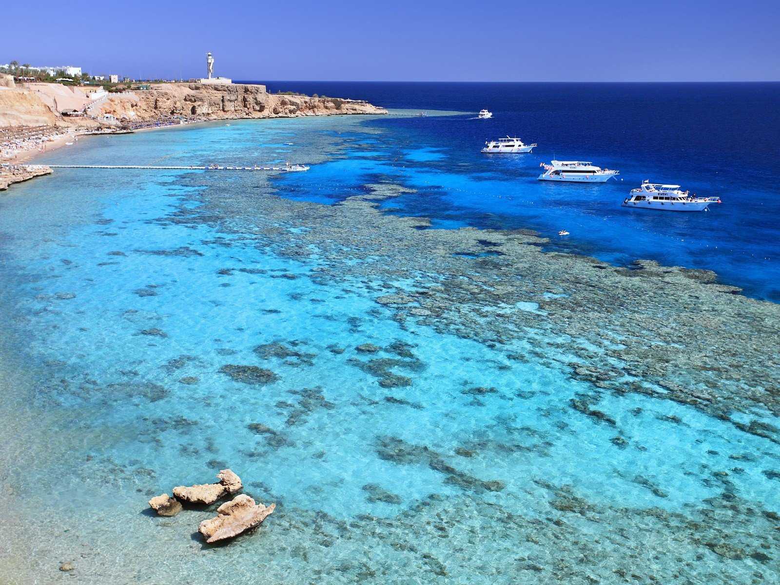 Кораллы в египте – лучшие места