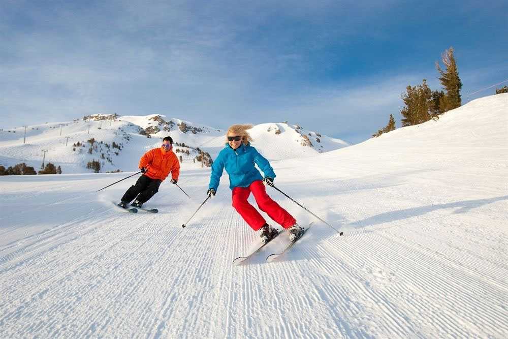 Где покататься на лыжах в спб зимой 2022 года — топ 6 крутых лыжных курортов