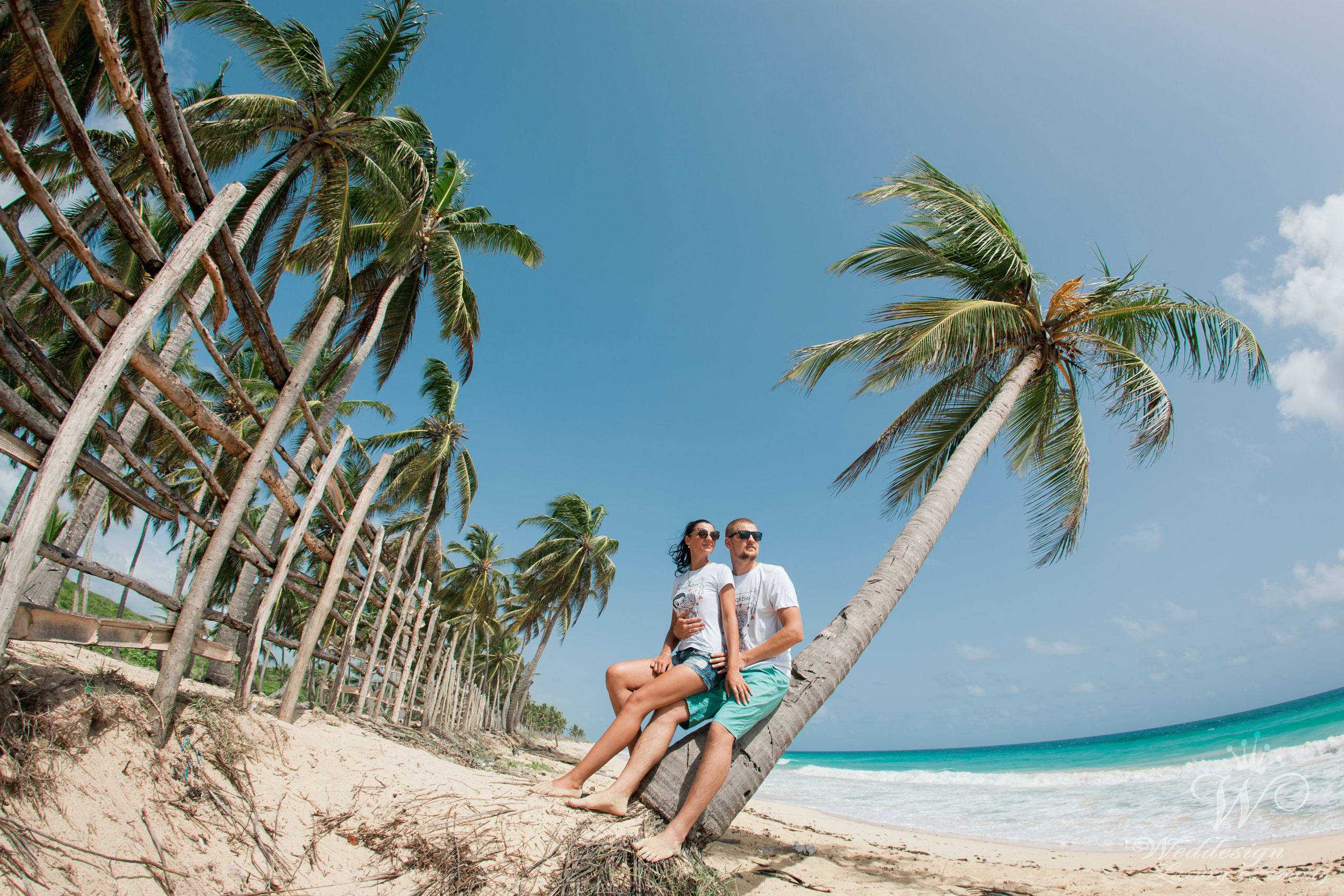 Сезон в доминикане: когда лучше отдыхать на море