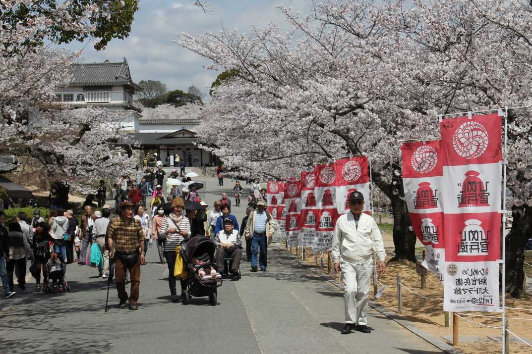 Как совершить путешествие в японию: что нужно знать о стране