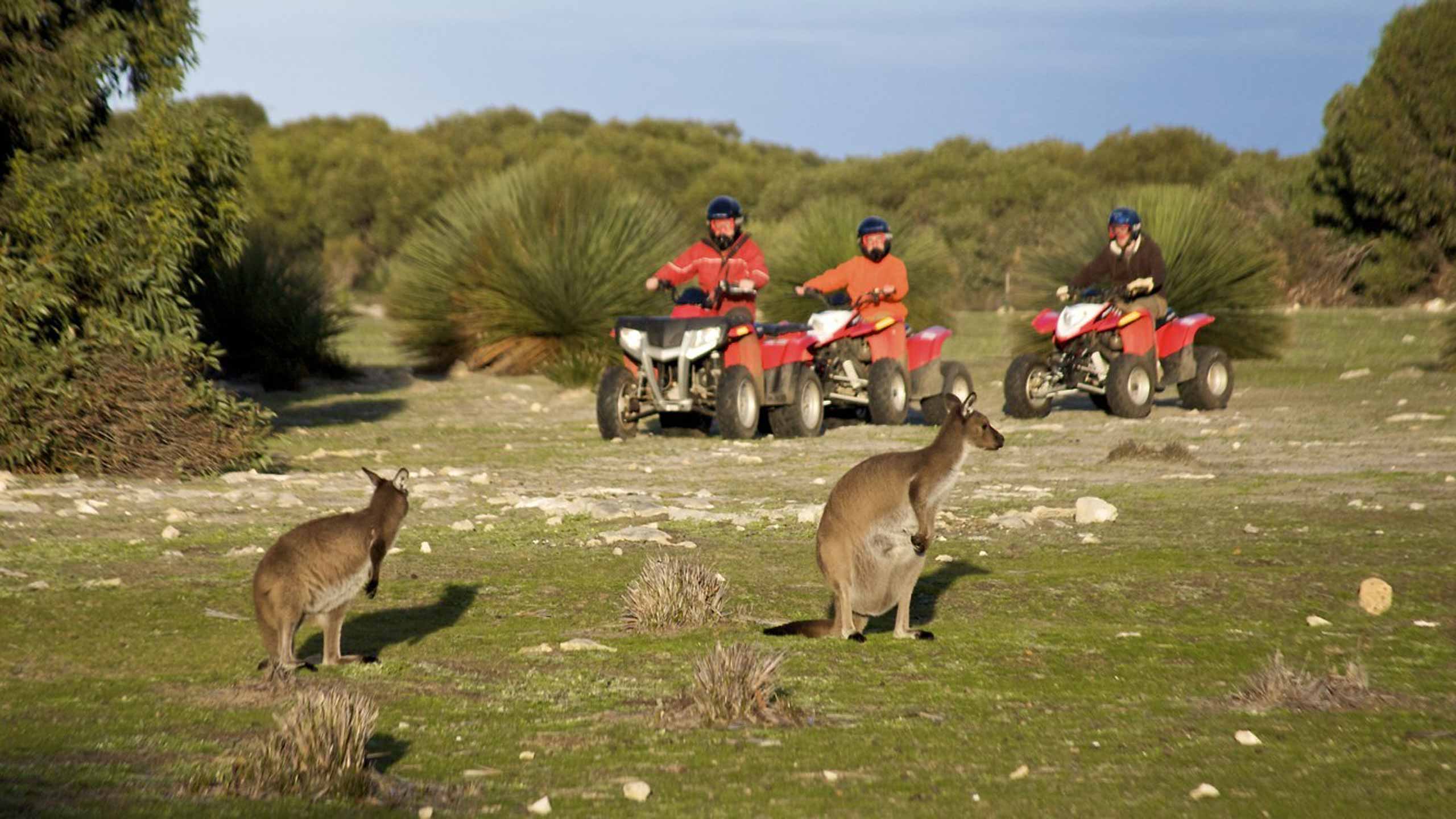 Австралийский туризм. информация для туристов об австралии