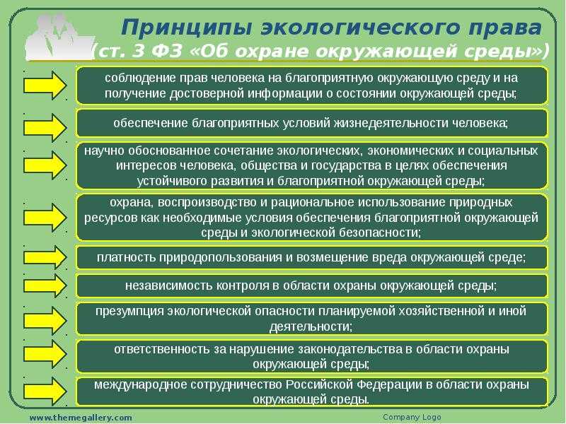 "зелёная" экономика: как она развивается в мире и казахстане? | informburo.kz