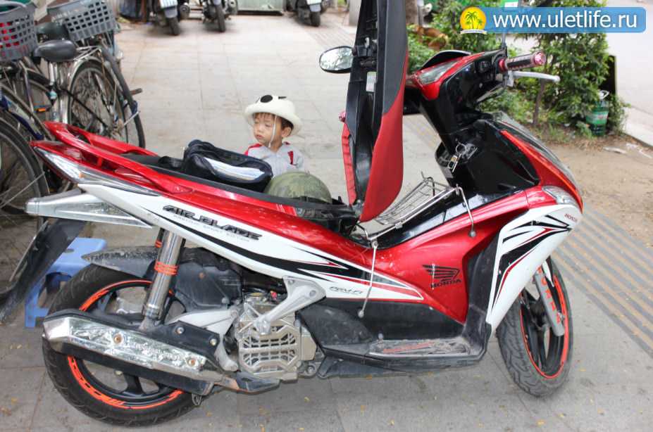 Аренда авто во вьетнаме - где арнедовать, стоимость, документы