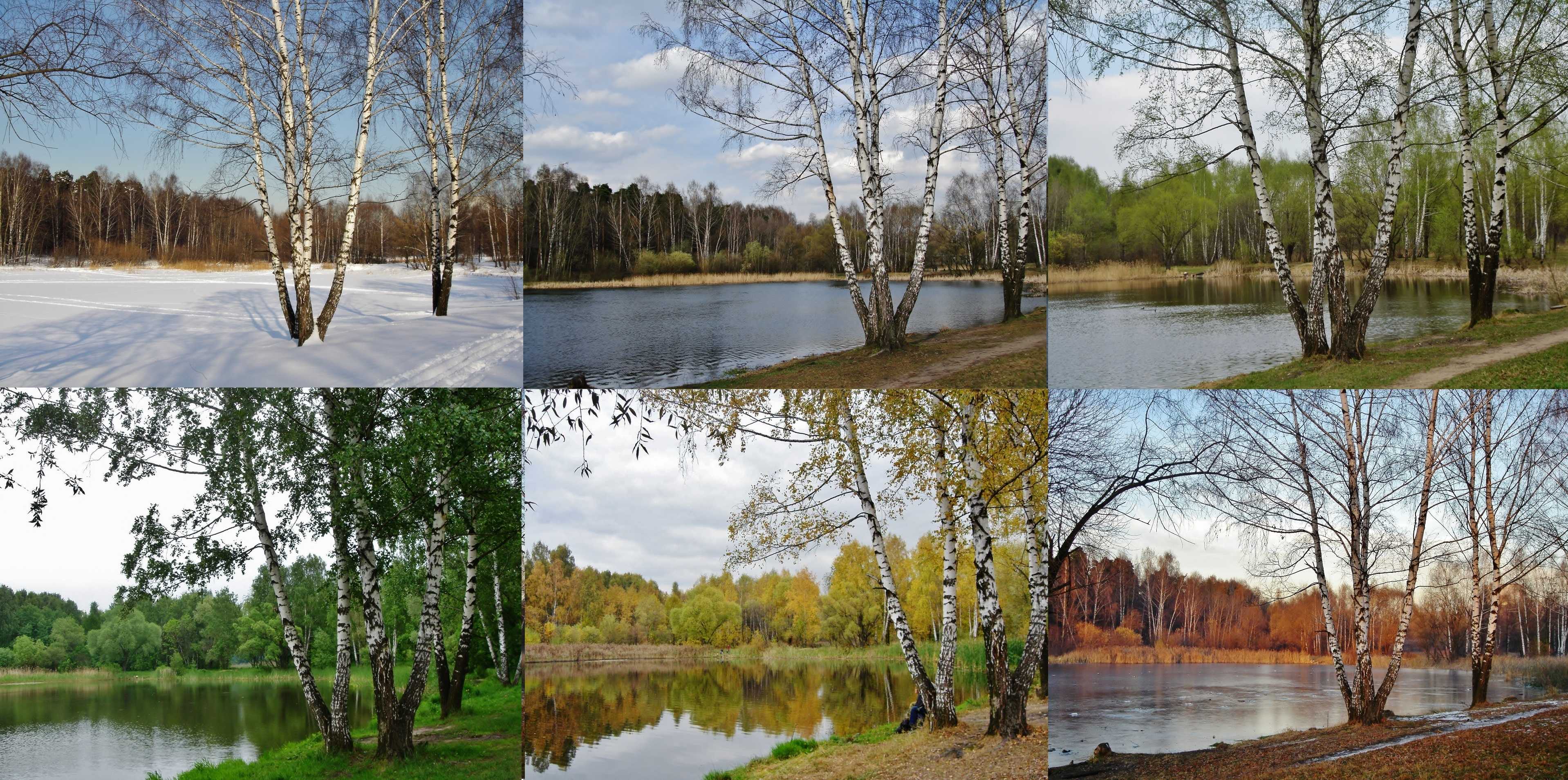 Погода в финляндии по месяцам