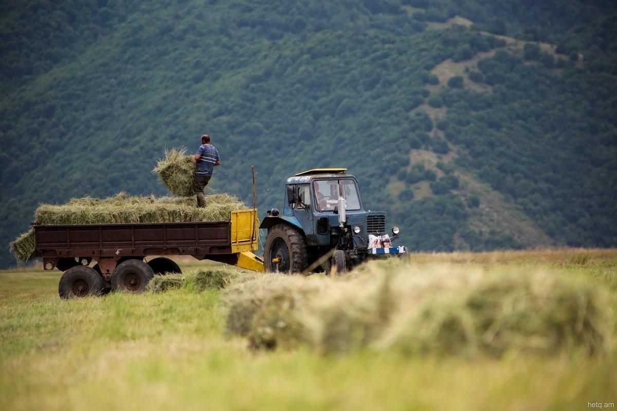 Сельское хозяйство в армении
