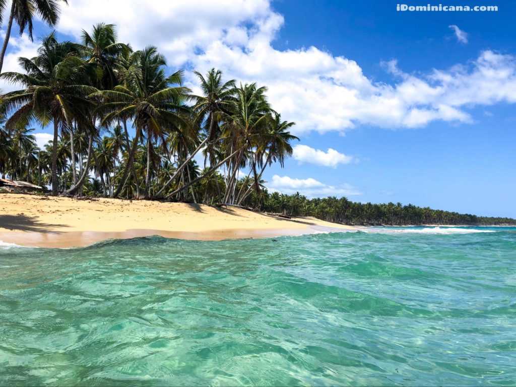 Доминикана: сезон для отдыха по месяцам. когда сезон дождей.