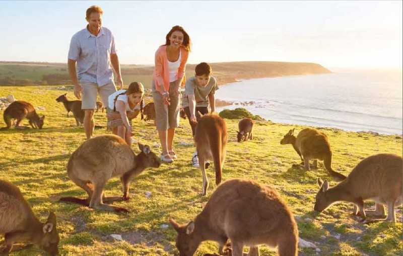10 лучших экотуризма в австралии