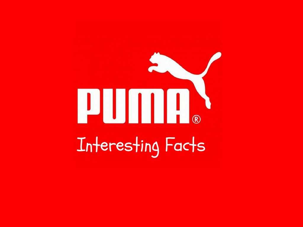 Компания puma: горячая линия, история, основная продукция
