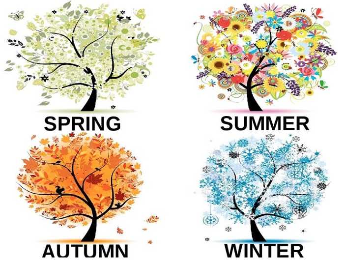 Погода в турции зимой, осенью, весной и летом по месяцам, климат на курортах турции: средняя температура воды и воздуха, влажность