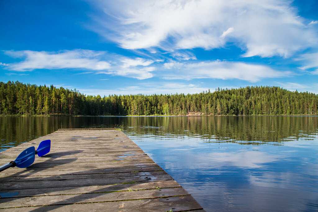 Чем заняться в финляндии летом и осенью - блог onetwotrip
